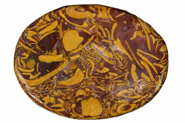 Coquina Jasper (Calligraphy Stone) Worry Stones - 1.5" Size - Photo 1